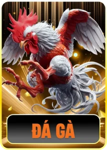 789bet